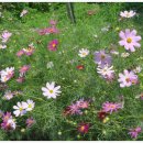 팔봉농원 이미지