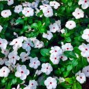 가좌근린공원 이미지