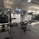 라이언 휘트니스 이미지