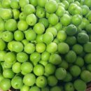 행운유정란 이미지