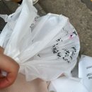 전라도감자탕 | *내돈내먹 * 광화문 뚝감 *뚝배기감자탕 김치삼겹후기 * 뚝감 포장후기 *