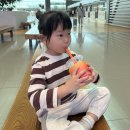 현대A 택시승강장 | 아기와 이시가키여행_클럽 메드 카비라 올인클루시브 (Club med)후기