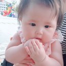 옥정중앙공원 아쿠아가든 이미지