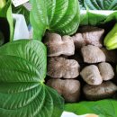 개척농장 이미지