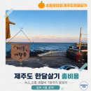 초등아이와 제주도 한달살기 비용 총정리｜실제사용한 총비용 - 탁송부터 숙소, 생활비, 식비까지 1...