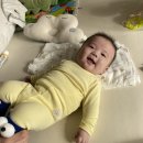 맘모스치킨 이미지