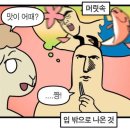 하니칼국수 이미지