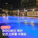 다정크리닝 | 파라다이스 부산 오션스파풀 수영장 후기｜겨울에도 야외온수풀 호캉스