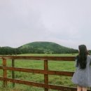 반딧불 목장 이미지