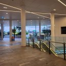 [호주] 골드코스트 한인마트, 로컬슈퍼마켓 장보기 : 하나로마트, IGA 퀸 스트릿 빌리지