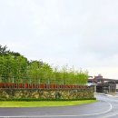 윈드힐 호텔&리조트 | 엠버퓨어힐 호텔&amp;리조트 제주 힐 루나 패밀리 룸 및 룸서비스 4인가족 실제 이용 후기