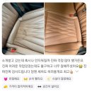 정밀세차 고수 자동차 담배냄새 악취없애는 실내세차