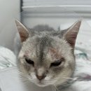 (주)에덴필드 이미지