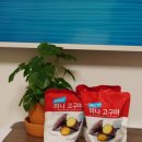 거산스타일