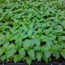 구들하우스 이미지