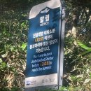 동홍약국 | 8월 여름 한라산 등반 후기 예약, 준비물, 코스, 인증서 발급