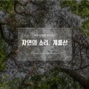 로드무비 이미지