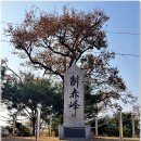 괴목다방 | 강화도 여행(20221108)---20회 번개팅