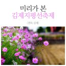 ^*^ 김제 벽골제 축제 ^*^ 이미지