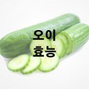 오이 효능 및 효과 보관법 이미지