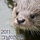 2011 그날이오면 ★ 환경독후감대회 ::: 6월 1일~8월 15일 이미지