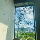 감성9091광명소하직영점 | [의왕카페] 미친 풍경★호수 뷰 그린플래그커피 &amp; (소하동 감성9091 고깃집)