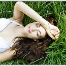 서면의숲 이미지