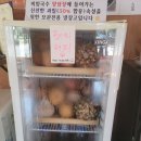 제주도 공항 주변 맛집 국수의 명가 미미국수 방문 후기~!