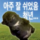 에이스 | 신사 에이스 후기(+ 남자를 뺏기다)