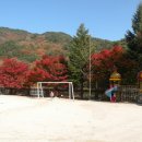 해인초등학교 Daum카페