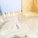 동물에반하다동물병원 이미지