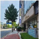 최선세무회계 이미지