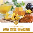 진도강황 영농조합법인 이미지