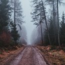 AS모터스 이미지