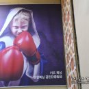 용인대 SG 복싱클럽 이미지