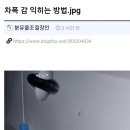 초보운전이 차폭 감 익히는 방법 이미지