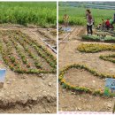 꿈나래어린이집[아이행복] 이미지