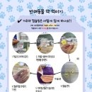 소로동물병원 이미지