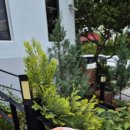 행복한2층약국 이미지