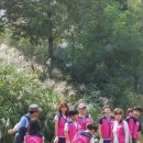 여성회관뒤 이미지