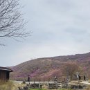 황매산가든 이미지