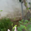 청천재활원 이미지