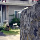 포도나무 민박 이미지