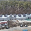 반월태양광발전소 이미지