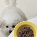 싱포밀 이미지