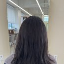효진헤어 | 서산 미용실 염색 잘하는 곳 | 인생컬러 찾은 서산 누오브 효진 디자이너 후기