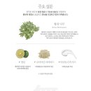 바른선 테라피 이미지