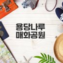 용당수변공원 화장실 | 김해 용당나루 매화공원 만개 관찰기