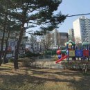 강릉부동산씨리얼 공인중개사사무소 이미지