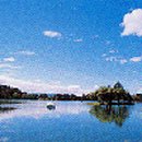 중앙사슴목장 이미지